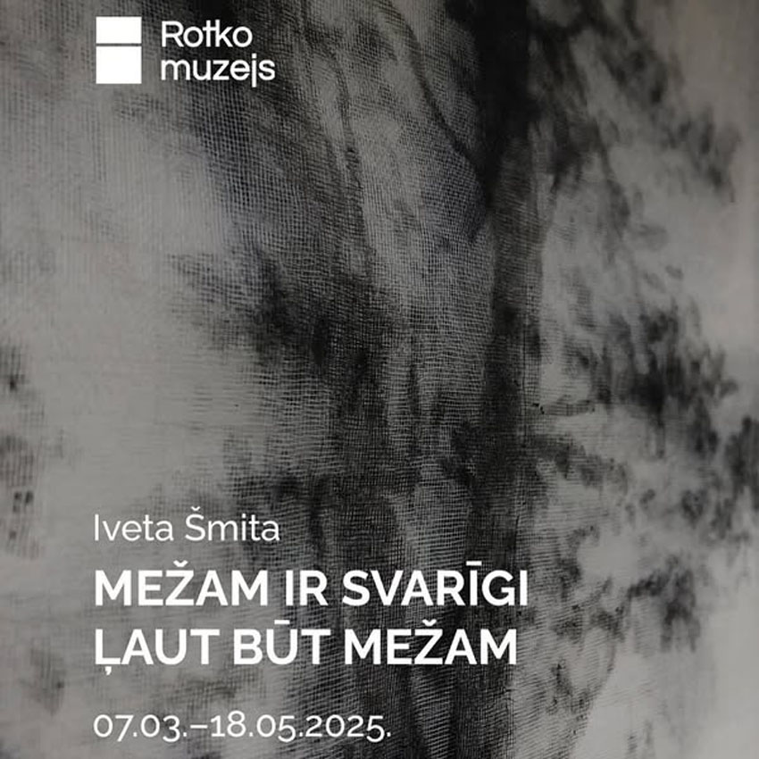 Ivetas Šmitas izstāde MEŽAM IR SVARĪGI ĻAUT BŪT MEŽAM