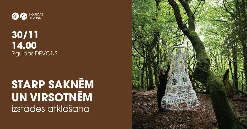 Starp saknēm un virsotnēm